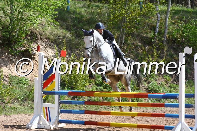 004M1835_Diamond Dancer_Springpferde A xx.JPG